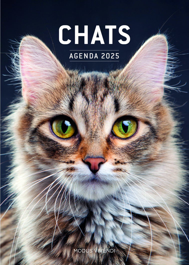 Chats - Agenda 2025 - Collectif  - MODUS VIVENDI