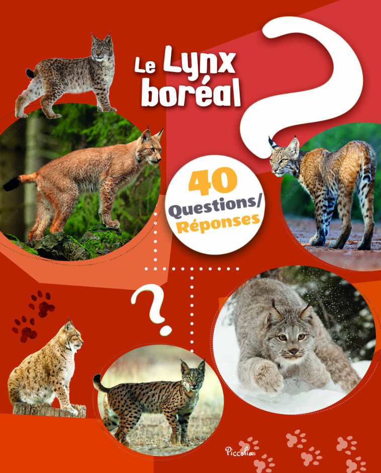 Le lynx - 40 questions / réponses  - Baillet Christine - PICCOLIA