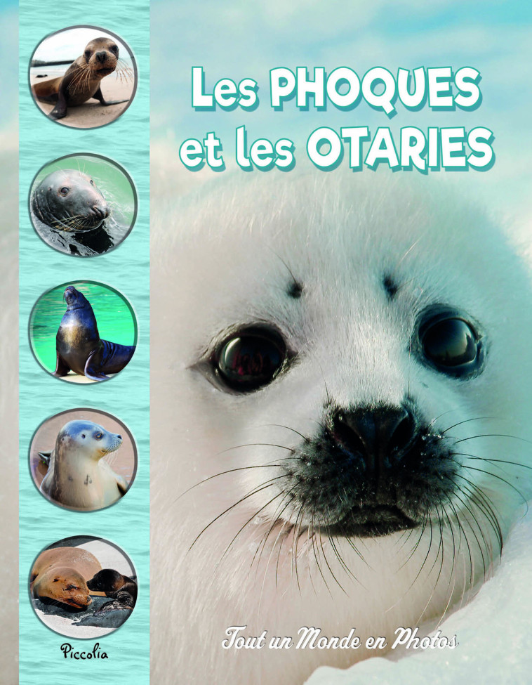 Les phoques et les otaries - Collectif  - PICCOLIA