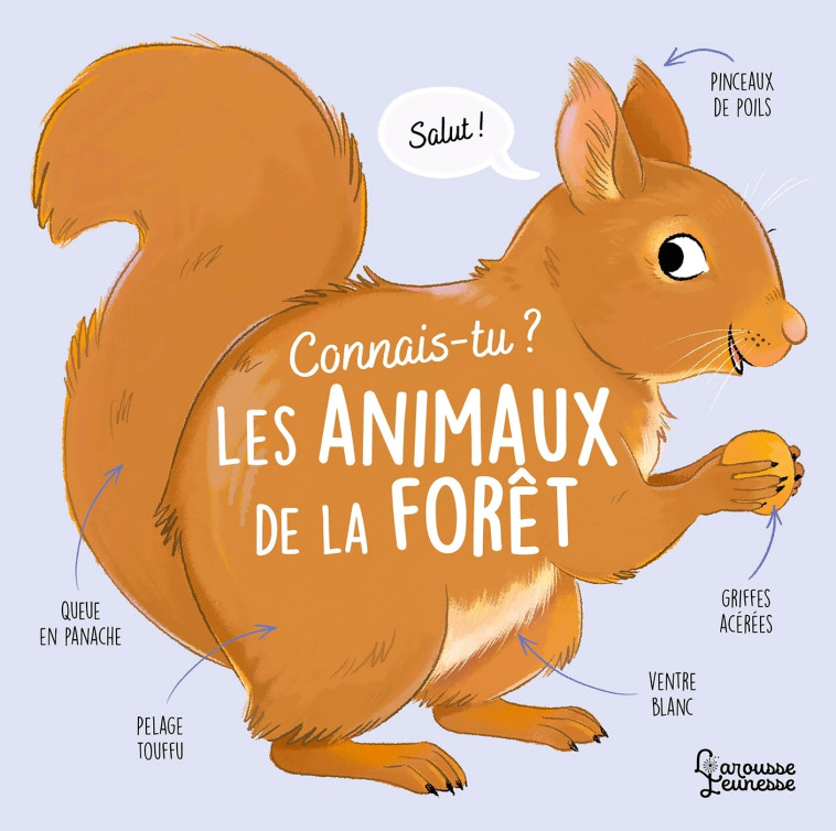 Connais-tu les animaux de la forêt ? - Besson Agnès, Vanhoof Axelle - LAROUSSE