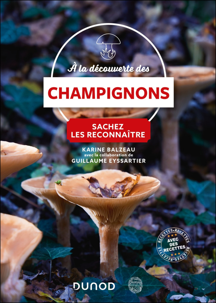 A la découverte des champignons - Balzeau Karine, Eyssartier Guillaume - DUNOD