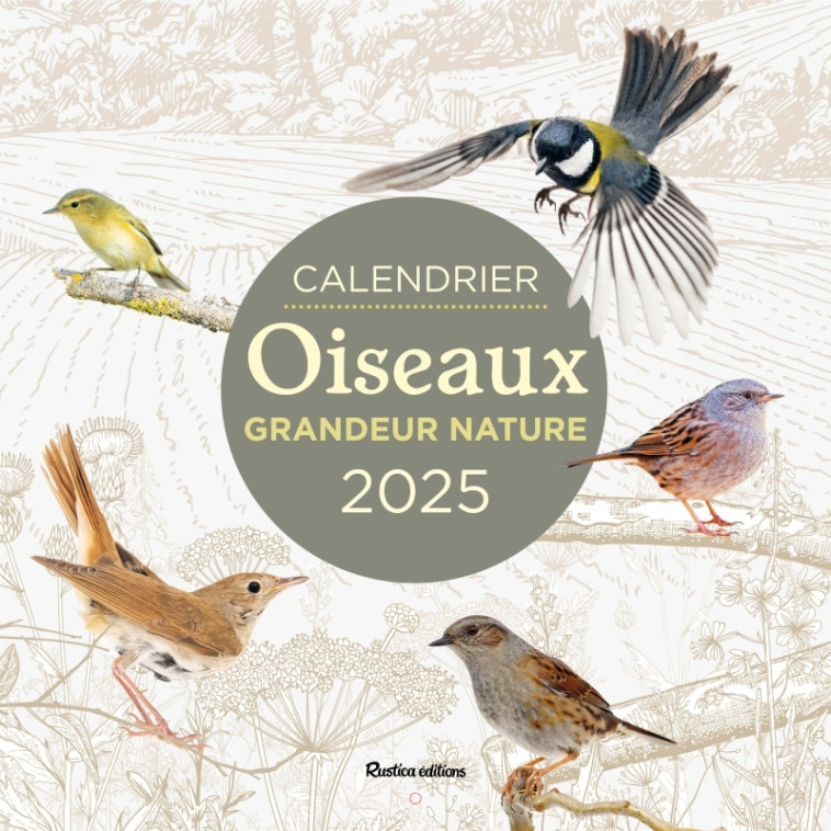 CALENDRIER 2025 OISEAUX GRANDEUR NATURE -  - RUSTICA