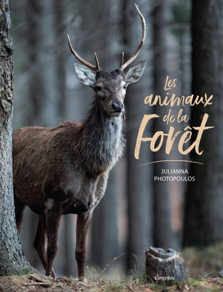 Les animaux de la forêt - Photopoulos Julianna - L IMPREVU