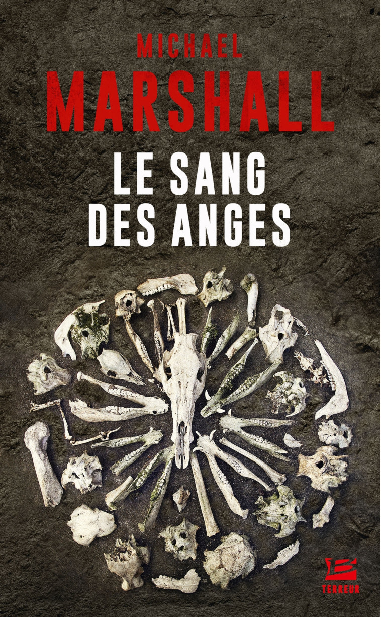 Le Sang des anges - Marshall Michael, Marshall Smith Michael - BRAGELONNE