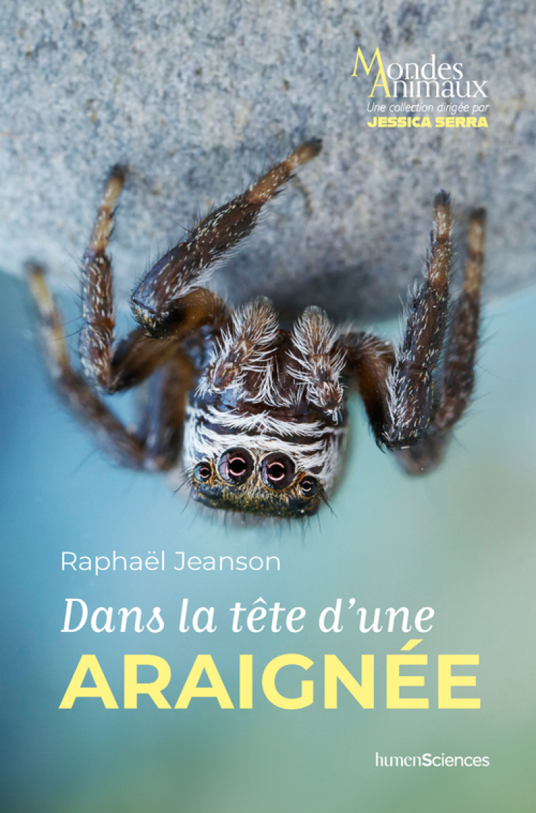 Dans la tête d'une araignée - JEANSON Raphaël, Serra Jessica - HUMENSCIENCES