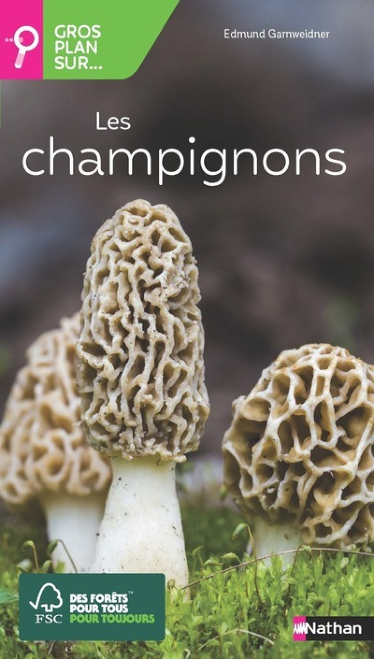 Gros plan sur les champignons - Garnweidner Edmund - NATHAN