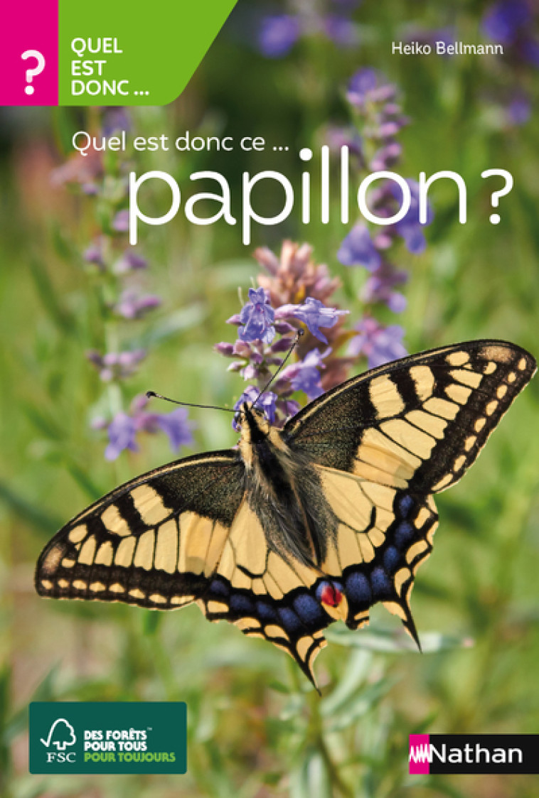 Quel est donc ce papillon ? - Bellmann Heiko - NATHAN