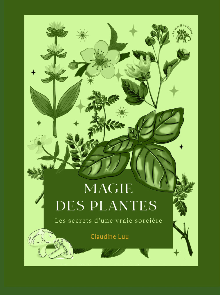 Magie des plantes - Luu Claudine - LOTUS ELEPHANT