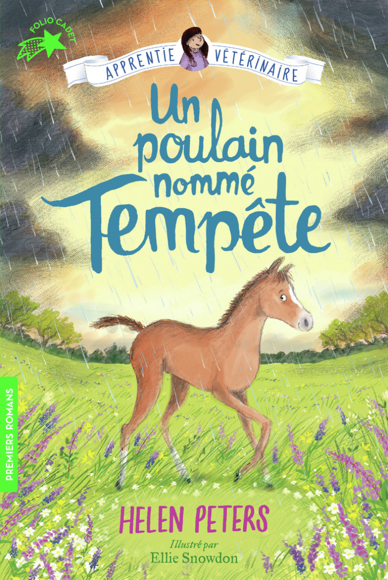 Un poulain nommé Tempête - Helen Peters, Ellie Snowdon, Marie Leymarie - GALLIMARD JEUNE