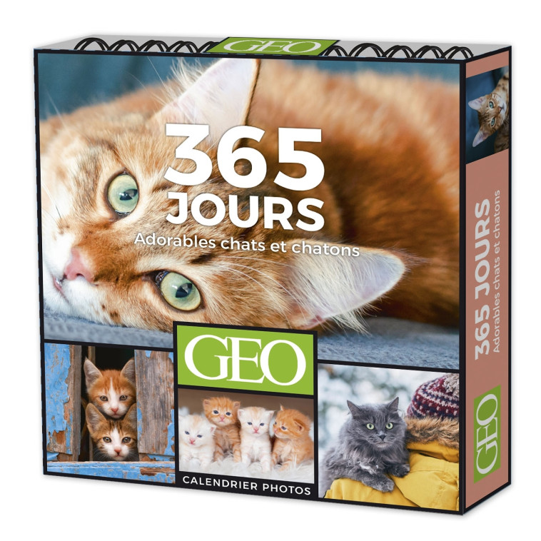 365 JOURS ADORABLES CHATS ET CHATONS  - CALENDRIERS GÉO -   - PLAY BAC