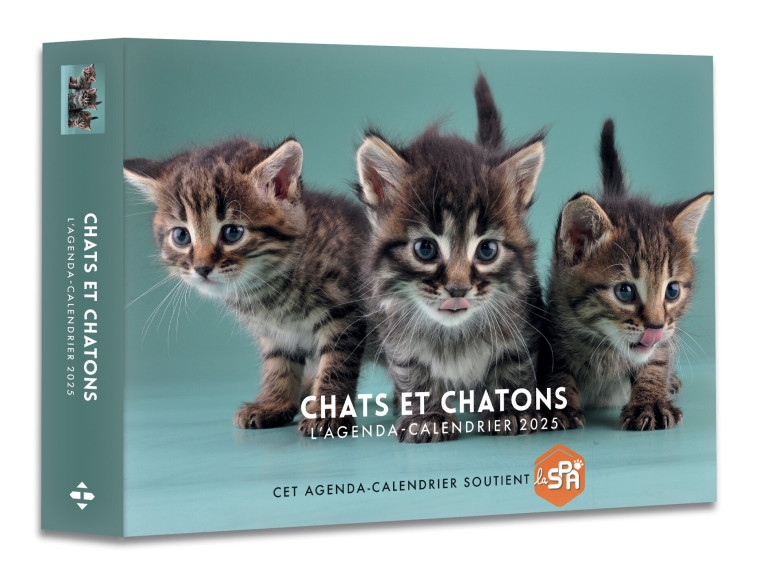 Agenda - Calendrier Chats et chatons 2025 -   - HUGO IMAGE