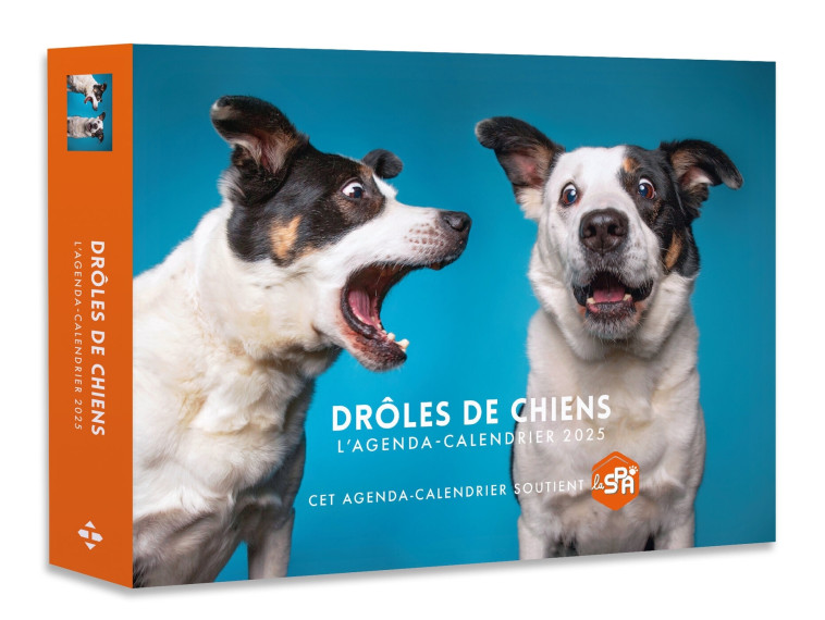 Agenda - Calendrier Drôles de chiens 2025 -   - HUGO IMAGE