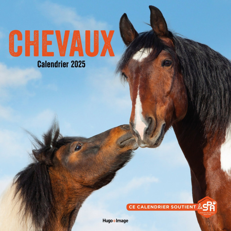 Calendrier mural chevaux 2025 -   - HUGO IMAGE