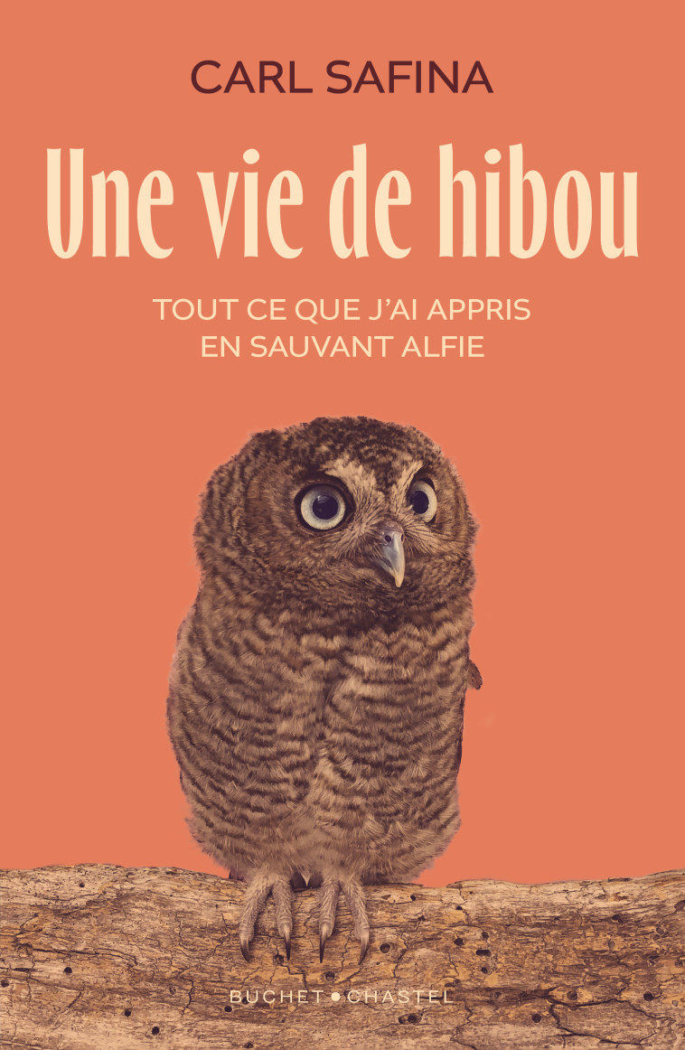 Une vie de hibou -  Safina carl - BUCHET CHASTEL