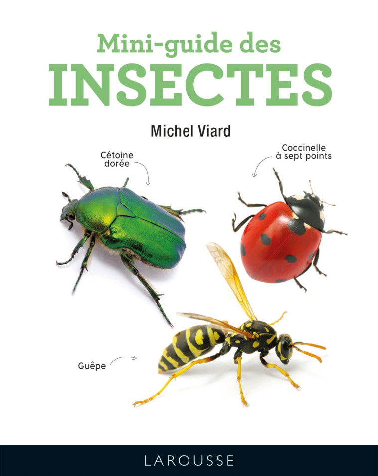 MINI-GUIDE DES INSECTES - Michel Viard - LAROUSSE