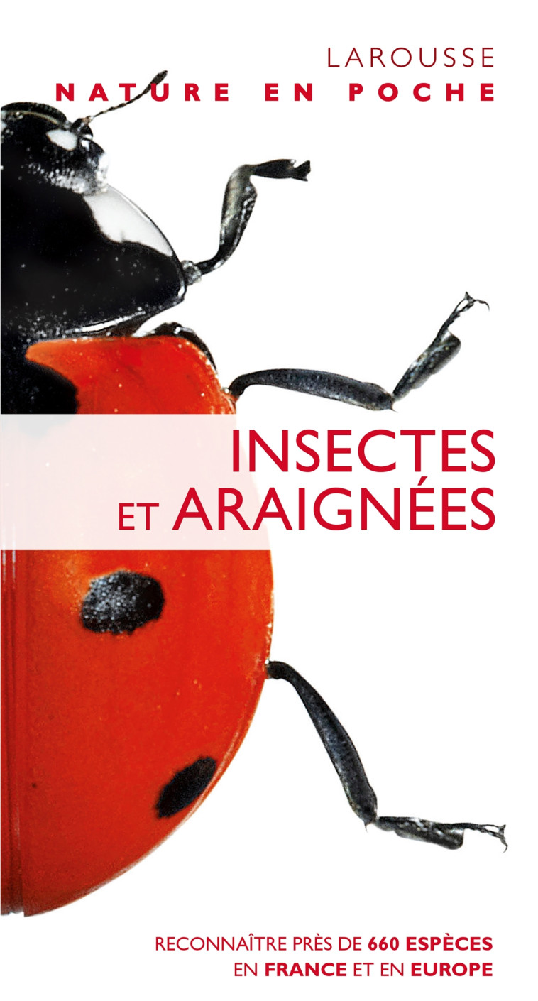 INSECTES ET ARAIGNEES - George Mc Gavin - LAROUSSE