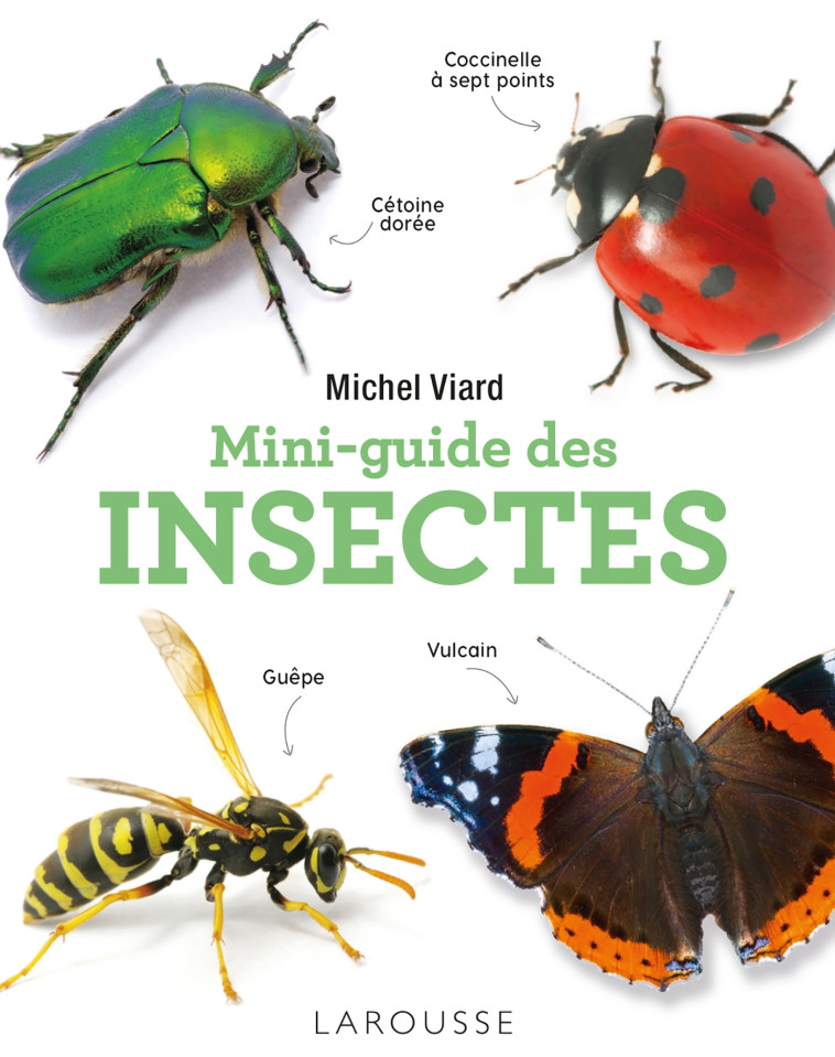 MINI-GUIDE DES INSECTES - Michel Viard - LAROUSSE