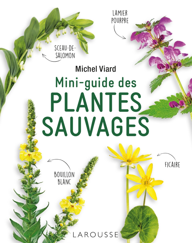 MINI-GUIDE DES PLANTES SAUVAGES - Michel Viard - LAROUSSE