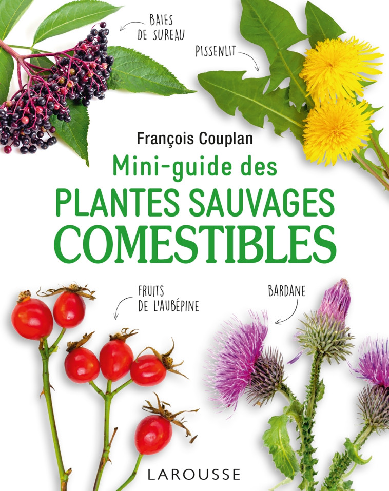 MINI-GUIDE DES PLANTES SAUVAGES COMESTIBLES - François Couplan - LAROUSSE