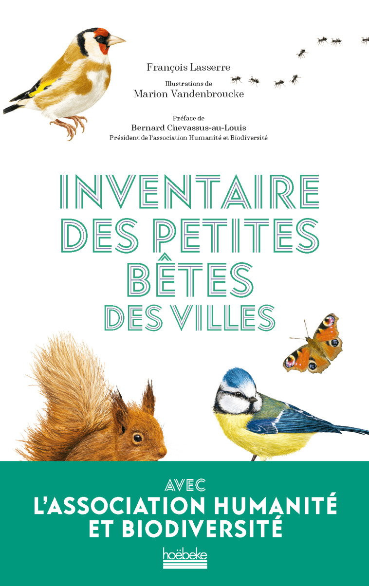 Inventaire des petites bêtes des villes - François Lasserre, Marion Vandenbroucke - HOEBEKE