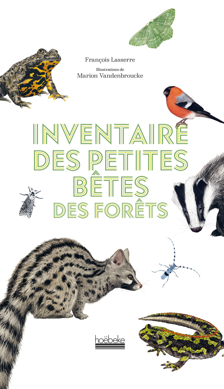 Inventaire des petites bêtes des forêts - François Lasserre, Marion Vandenbroucke - HOEBEKE