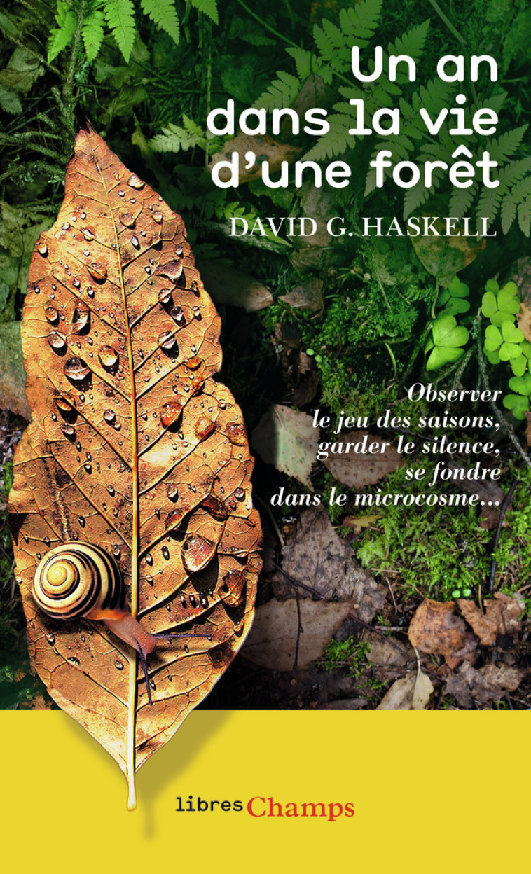 Un an dans la vie d'une forêt - David G. Haskell, Thierry PIELAT - FLAMMARION