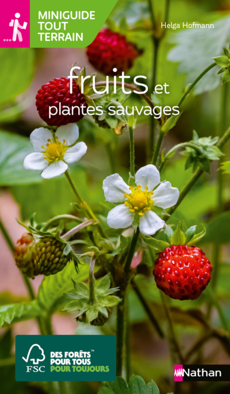 Miniguides tout-terrain : Fruits et plantes sauvages - Helga Hofmann, Ghislaine Tamisier - NATHAN