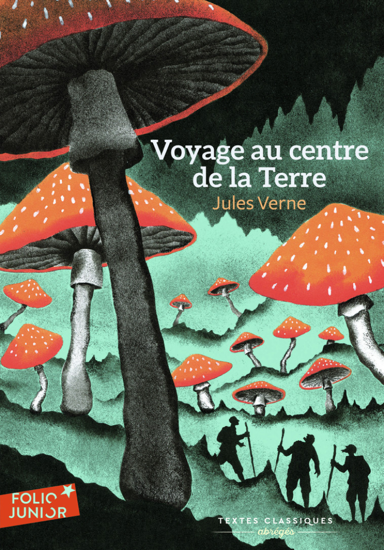 Voyage au centre de la Terre - Jules Verne,  Riou - GALLIMARD JEUNE