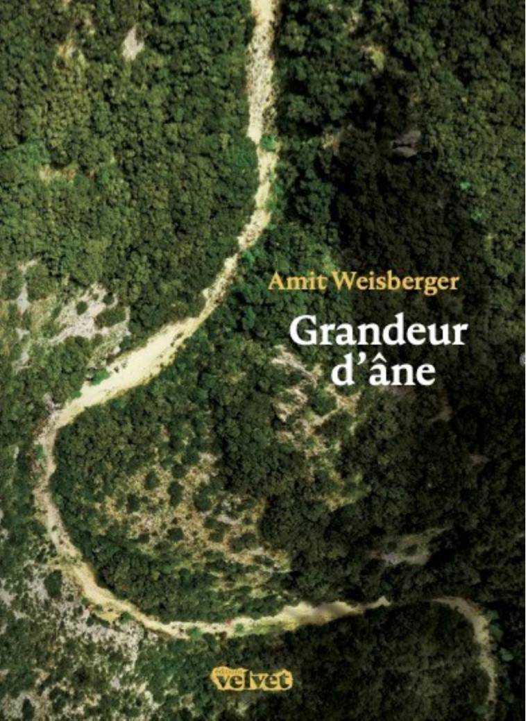 GRANDEUR D'ANE -  WEISBERGER AMIT - VELVET