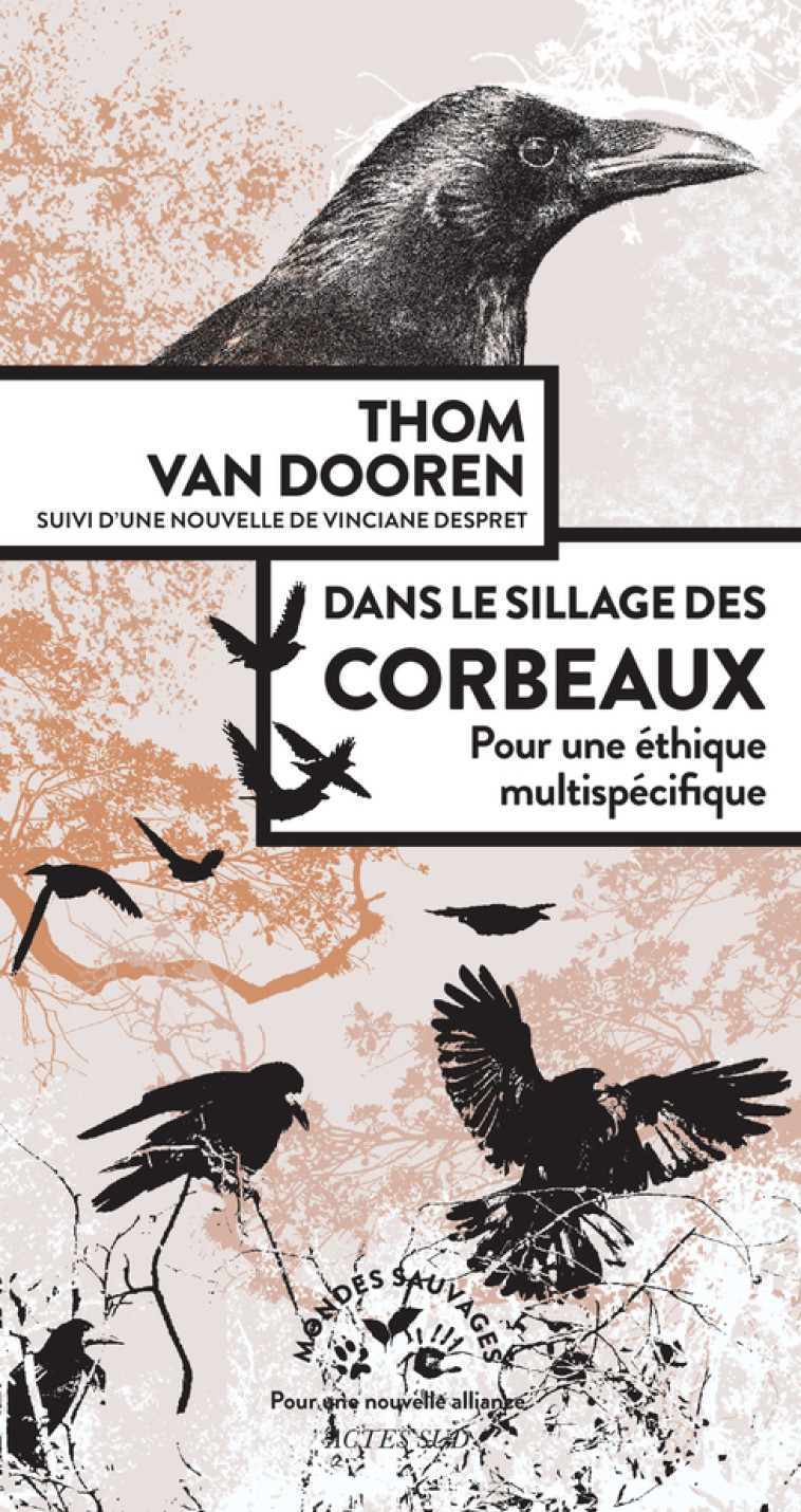 Dans le sillage des corbeaux - Thomas Van dooren, Vinciane Despret, Amanda Prat-giral - ACTES SUD