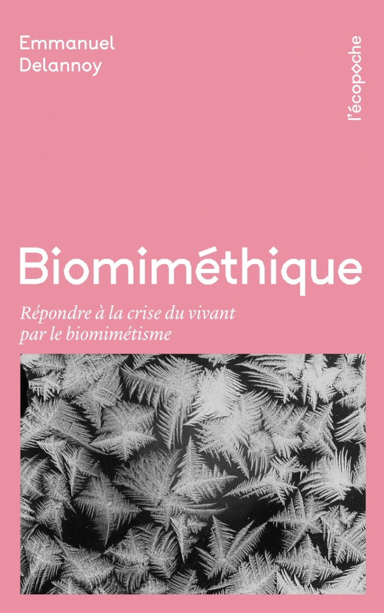 Biomiméthique - Répondre à la crise du vivant pour le biomim - Emmanuel DELANNOY - RUE ECHIQUIER