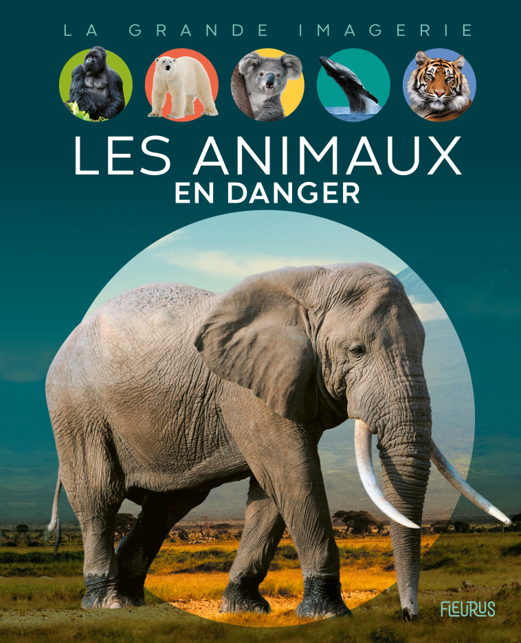 Les animaux en danger - Sabine Boccador - FLEURUS