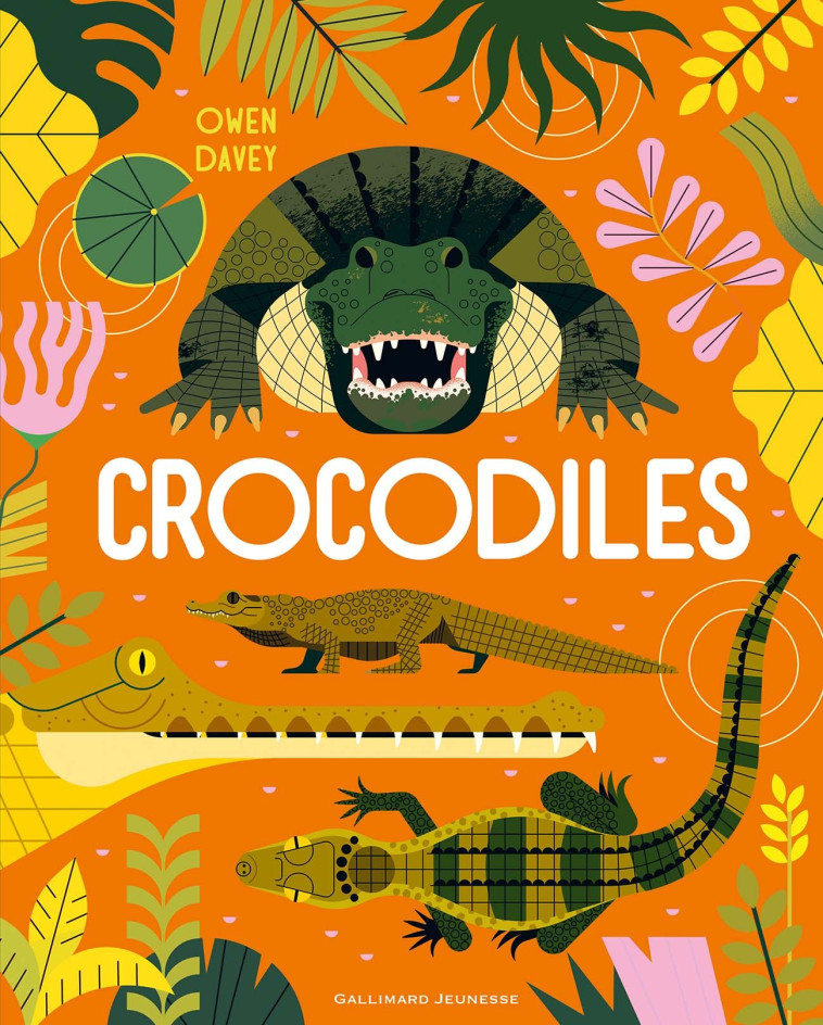 Crocodiles - Owen Davey, Bérangère Viennot, Bérengère Viennot - GALLIMARD JEUNE