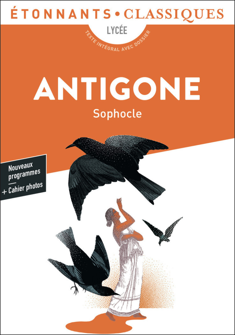 Antigone -  SOPHOCLE, Daniel Loayza - FLAMMARION