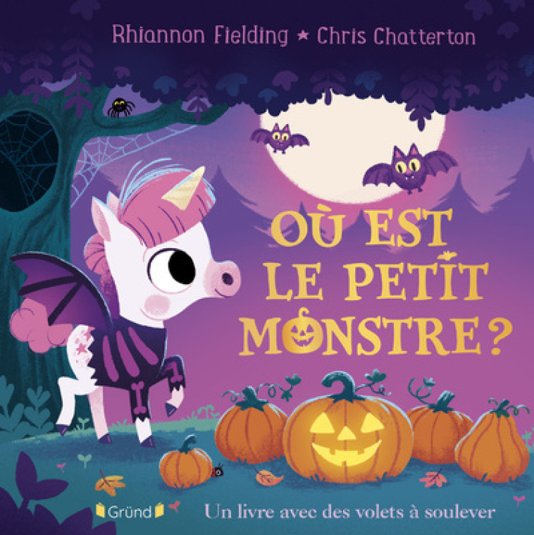 Où est le petit monstre ? Un livre avec des volets à soulever - Rhiannon Fielding, Chris Chatterton - GRUND