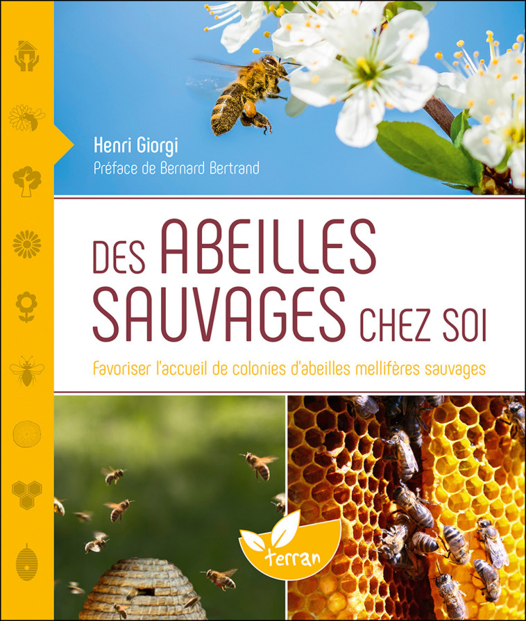 Des abeilles sauvages chez soi - Favoriser l'accueil de colonies d'abeilles mellifères sauvages - Henri Giorgi - DE TERRAN