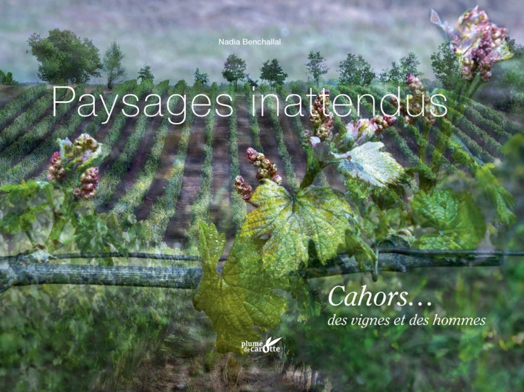 Paysages inattendus, cahors... Des vignes et des hommes - Nadia Benchallal - PLUME CAROTTE