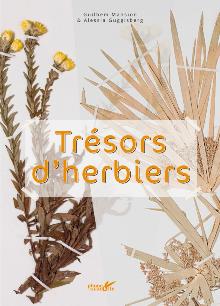 Trésors d'Herbiers - Guilhem MANSION, Alessia GUGGISBERG - PLUME CAROTTE