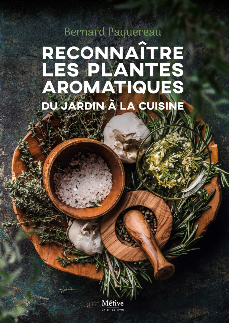 Reconnaître les  plantes aromatiques - BERNARD PAQUEREAU - METIVE