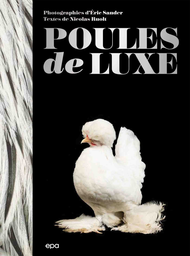 Poules de luxe - Eric Sander, Nicolas Ruolt - EPA