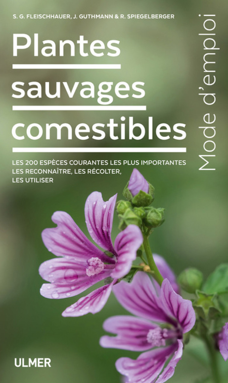 Plantes sauvages comestibles - Steffen Guido Fleischhauer, Jürgen Guthmann, Roland Spiegelberger - ULMER