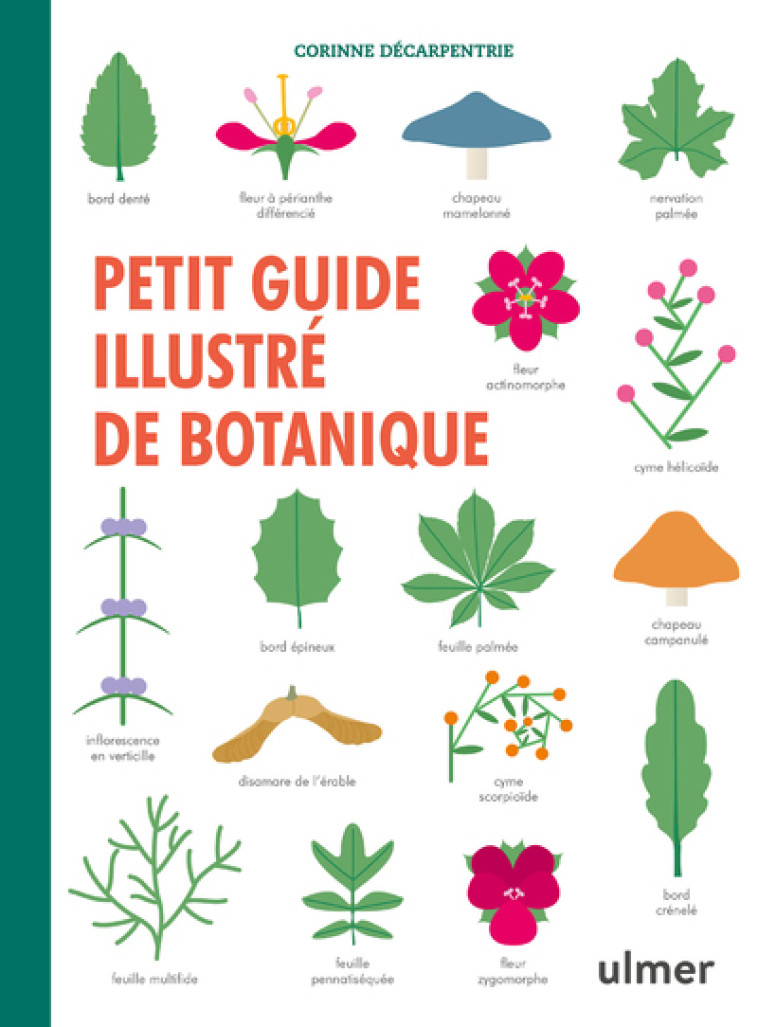 Petit guide illustré de botanique - Corinne Decarpentrie - ULMER