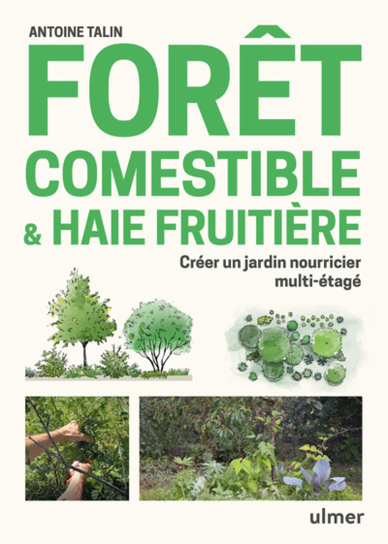 Forêt comestible & haie fruitière - Créer un jardin nourricier multi-étagé - Antoine Talin - ULMER