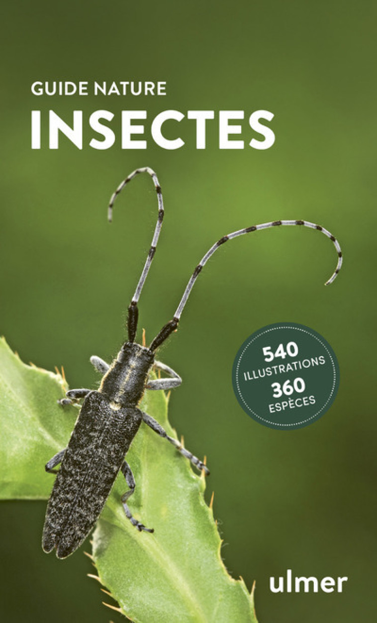 Insectes - Heiko Bellmann, Klaus Riegler - ULMER