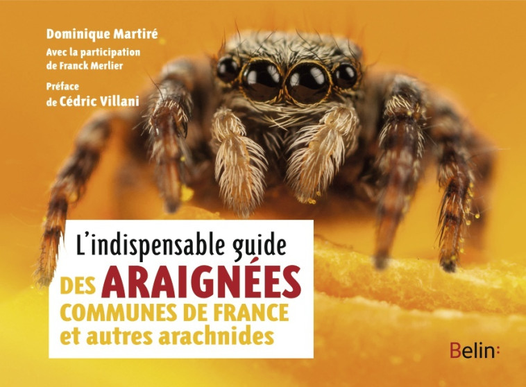 L'indispensable guide des araignées de France et autres arachnides - Franck Merlier, Dominique Martiré, Guillaume Eyssartier - BELIN