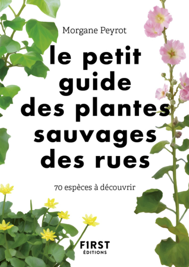 Le Petit guide des plantes sauvages des rues - 70 espèces à découvrir - Morgane Peyrot, Lise Herzog - FIRST