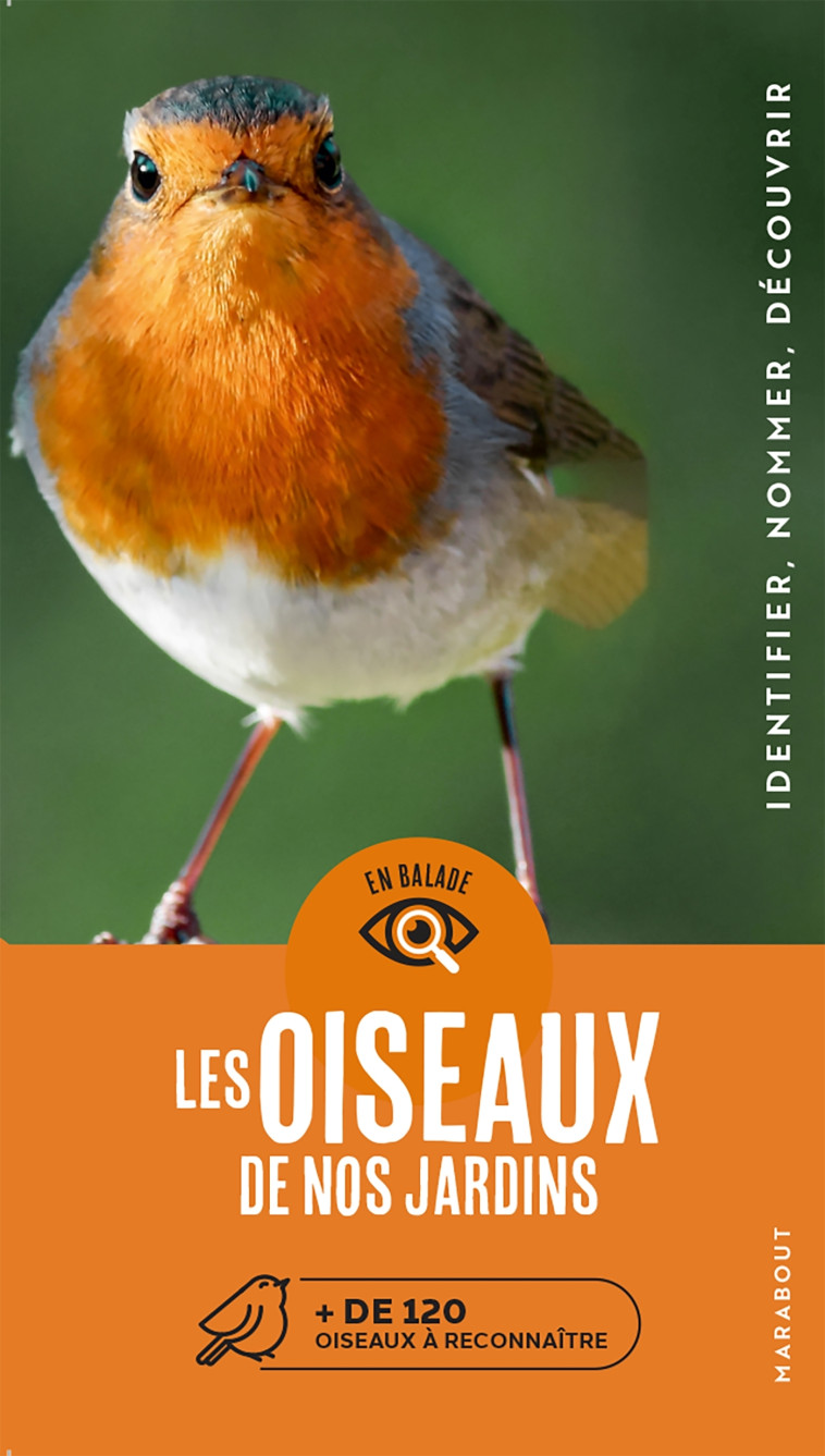 En balade - Les oiseaux de nos jardins - Volker Dierschke - MARABOUT