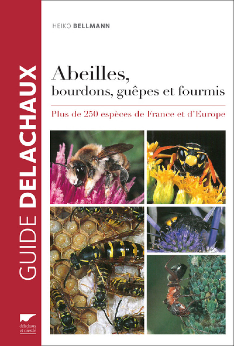 Abeilles, bourdons, guêpes et fourmis - Heiko Bellmann - DELACHAUX