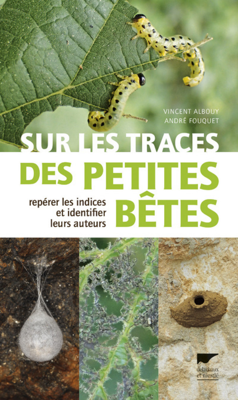 Sur les traces des petites bêtes - Vincent Albouy, André Fouquet - DELACHAUX