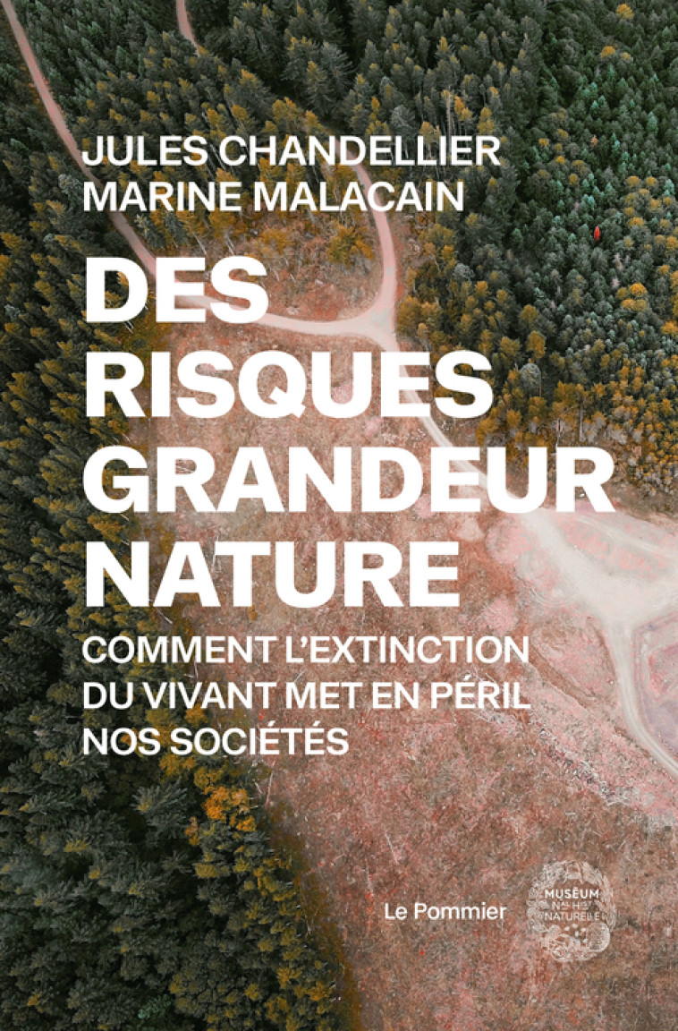 Des risques grandeur nature - Marine Malacain, Jules Chandellier, Jacques Treiner - POMMIER